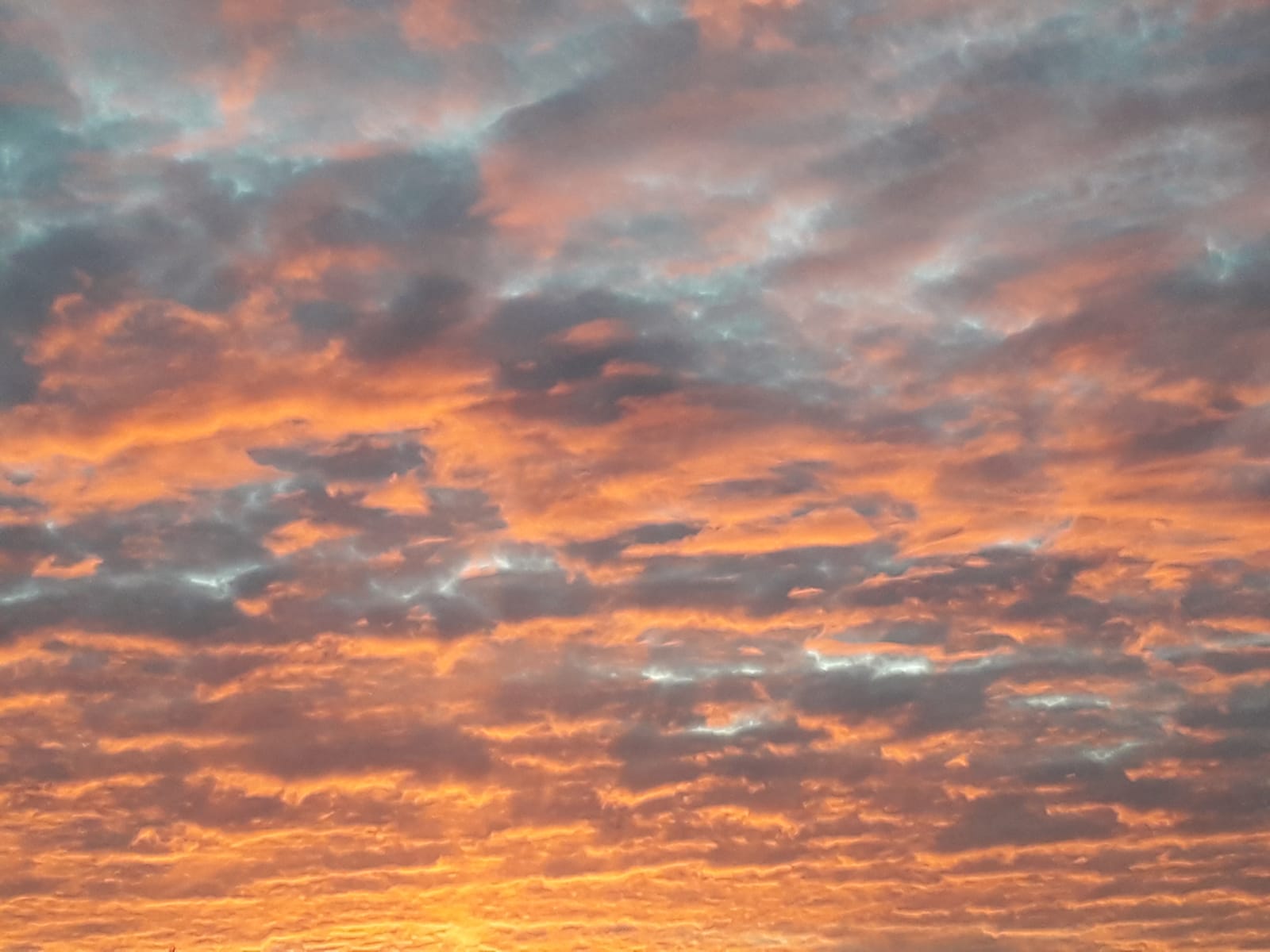 Wolkendek dat oranje/rood gekleurd is door ondergaande zon