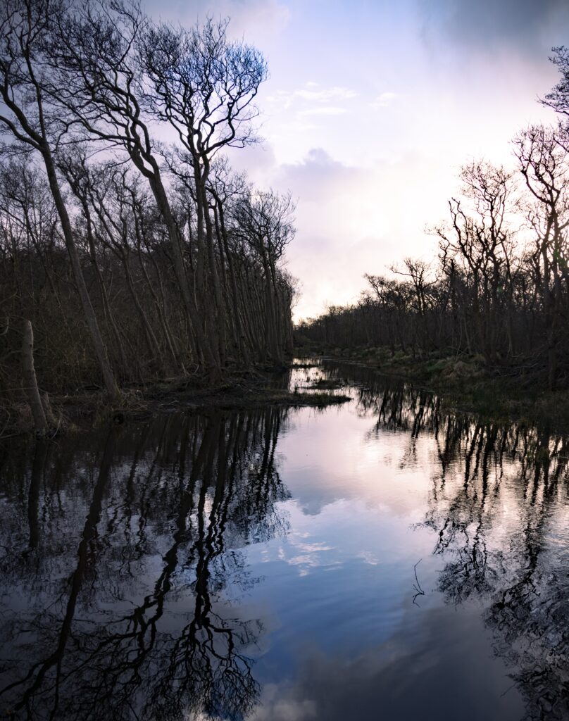 Vergezicht van water met aan weerskanten bomen