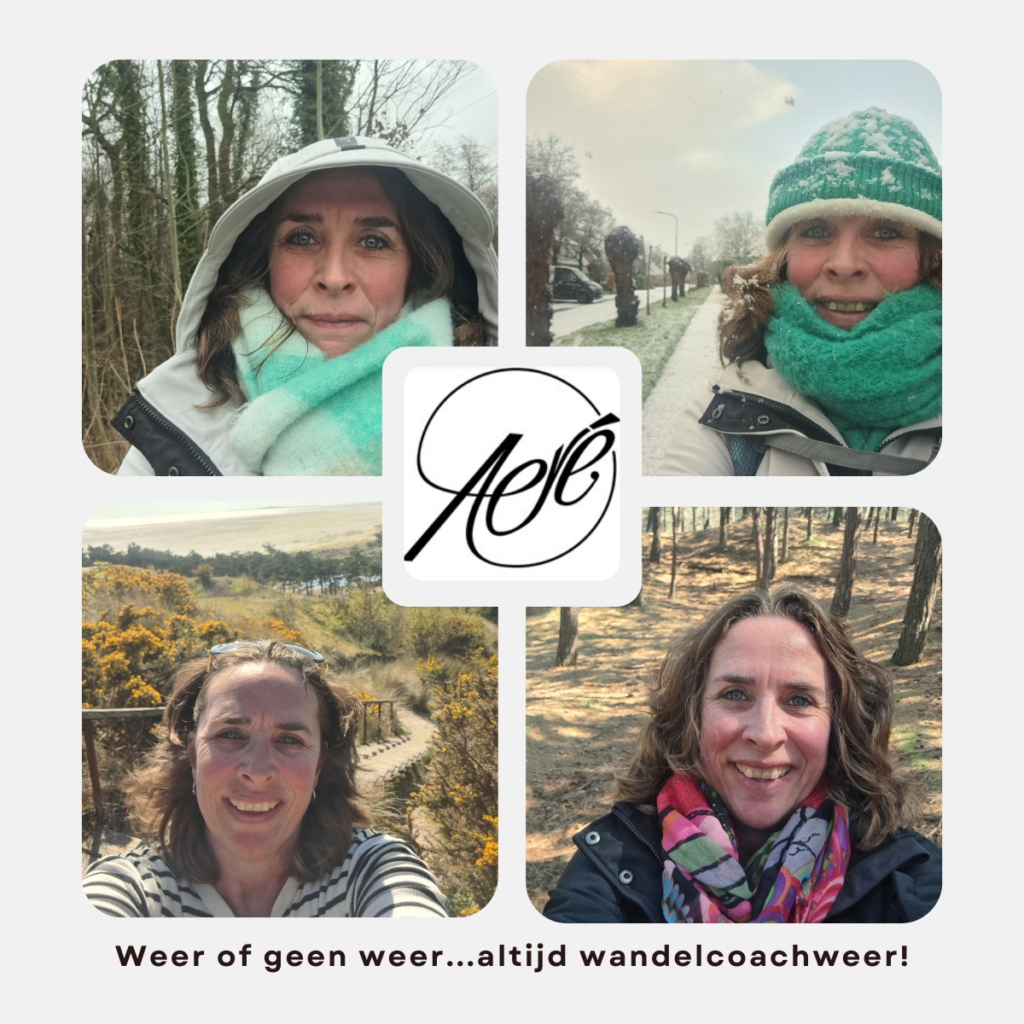 Vierluik van foto's van Adriënne Naron in alle jaargetijden. Het logo van Aere voor jou in het midden.